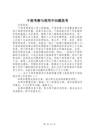 2024年干部考察与使用中问题思考