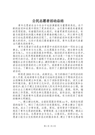 2024年公民志愿者活动总结