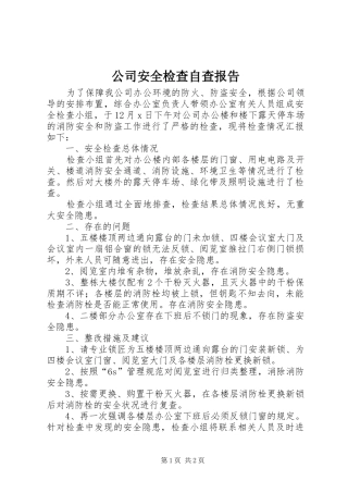 2024年公司安全检查自查报告