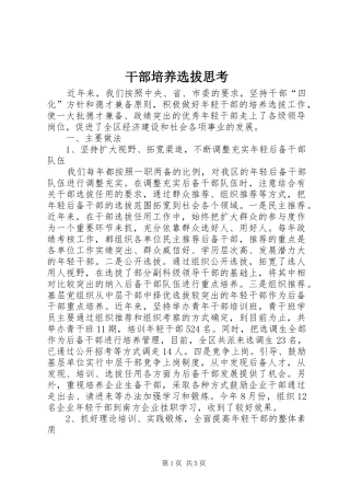 2024年干部培养选拔思考