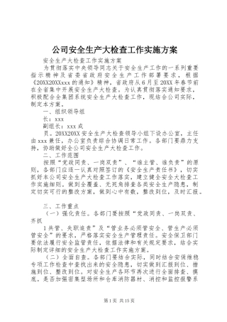 2024年公司安全生产大检查工作实施方案