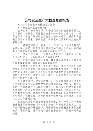 2024年公司安全生产大检查总结报告