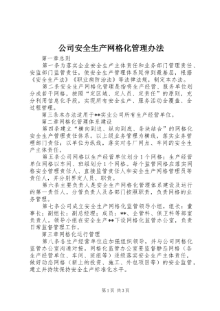 2024年公司安全生产网格化管理办法