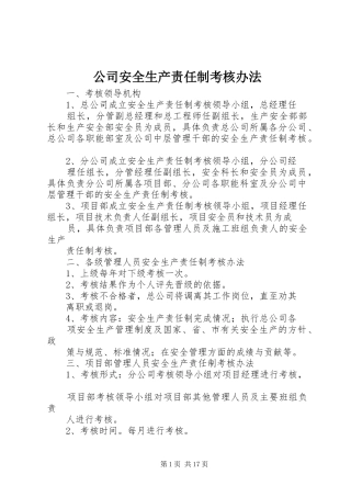 2024年公司安全生产责任制考核办法