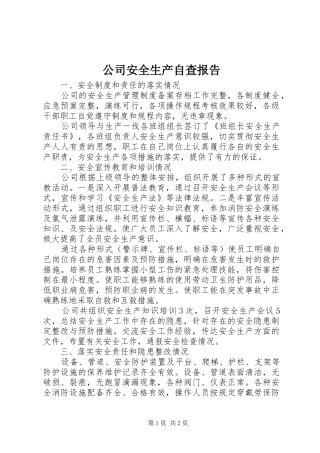 2024年公司安全生产自查报告