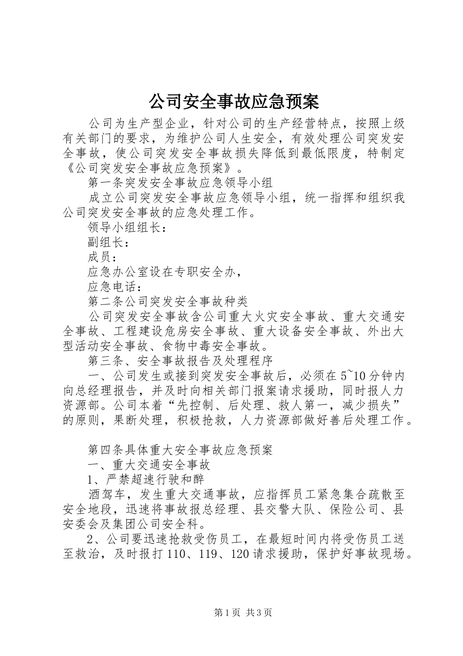 2024年公司安全事故应急预案_第1页