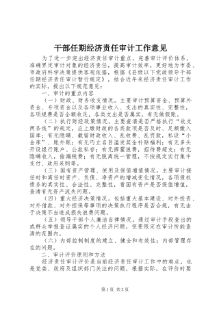 2024年干部任期经济责任审计工作意见