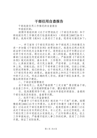 2024年干部任用自查报告