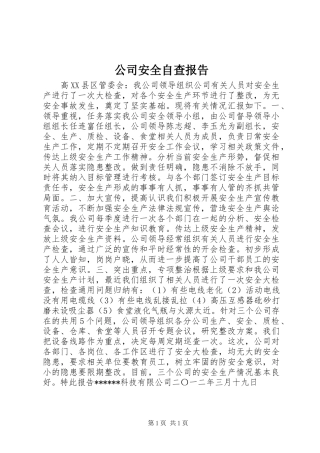 2024年公司安全自查报告