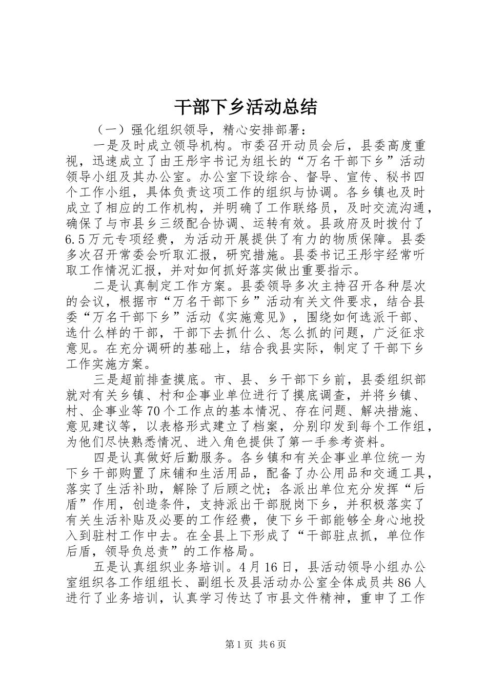 2024年干部下乡活动总结_第1页
