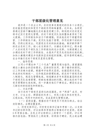 2024年干部星级化管理意见
