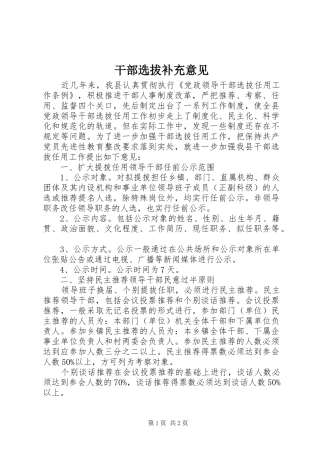 2024年干部选拔补充意见