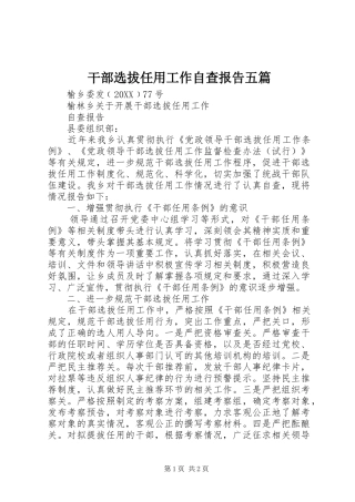 2024年干部选拔任用工作自查报告五篇