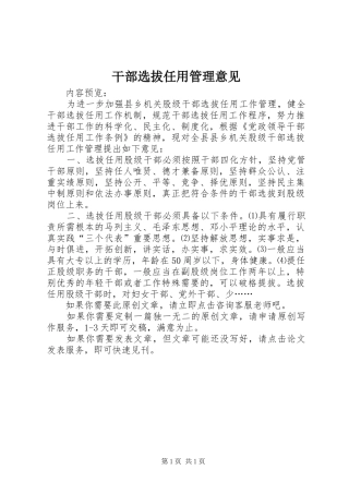 2024年干部选拔任用管理意见