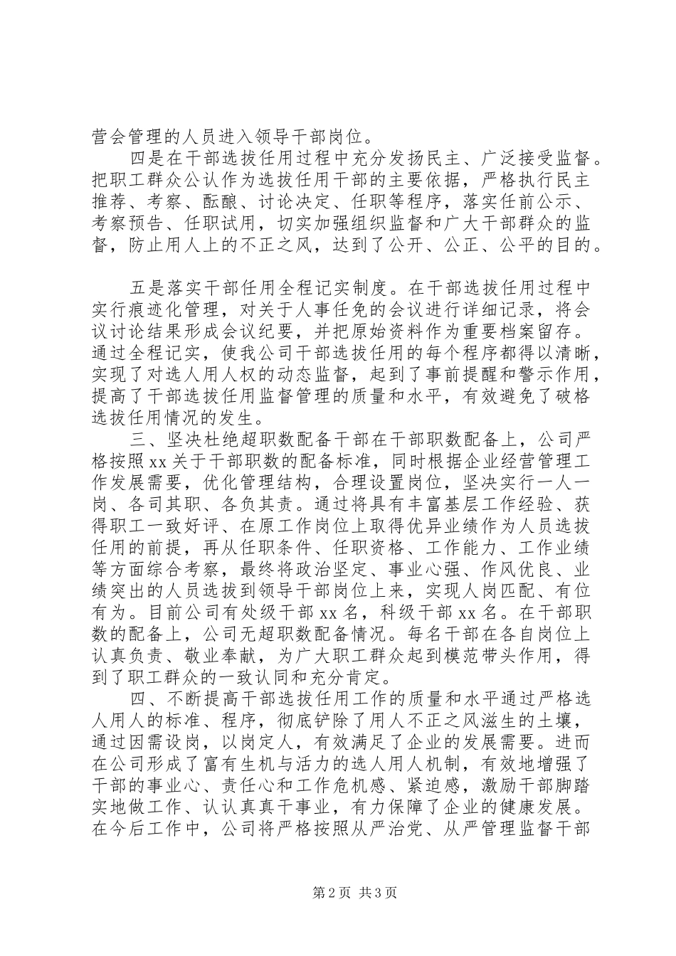 2024年干部选拔任用情况自查报告_第2页