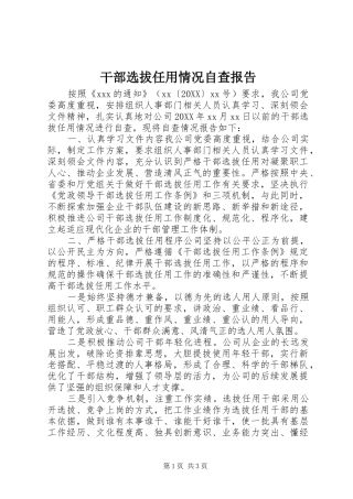 2024年干部选拔任用情况自查报告