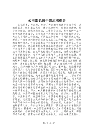 2024年公司部长级干部述职报告