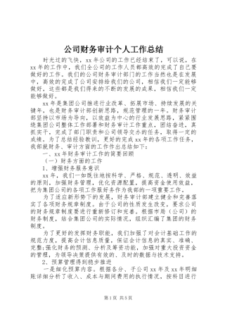 2024年公司财务审计个人工作总结