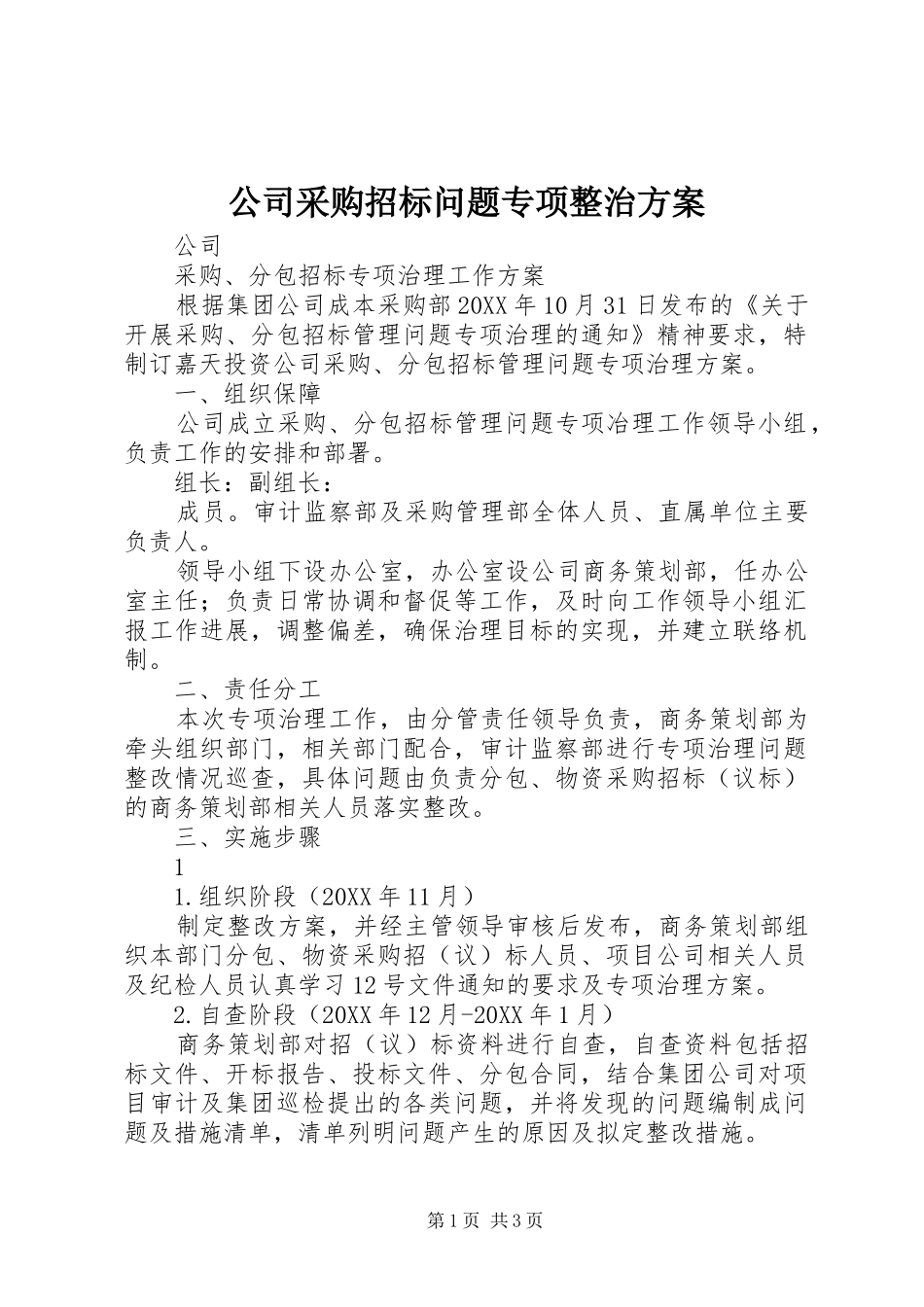 2024年公司采购招标问题专项整治方案_第1页