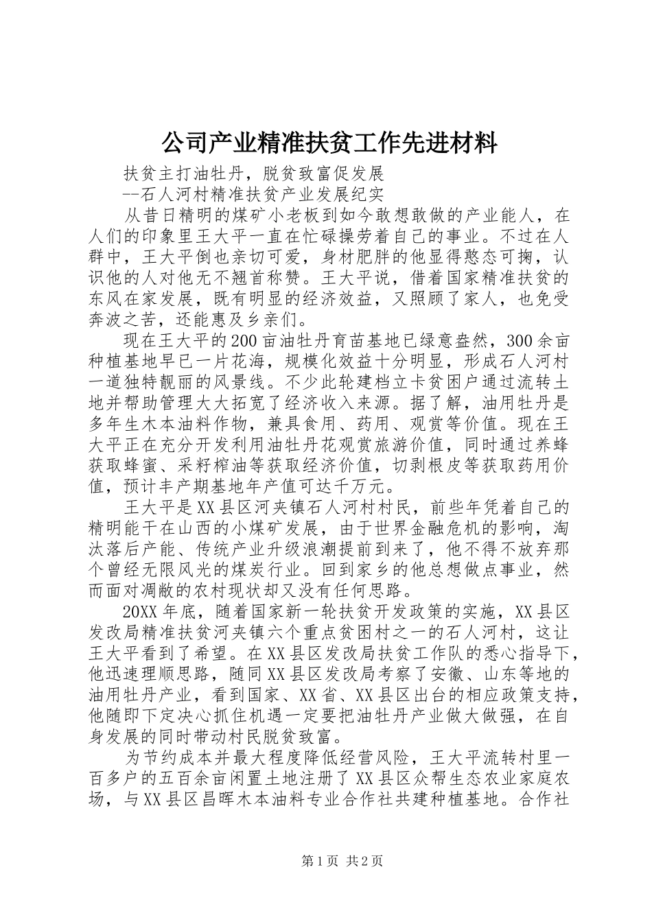 2024年公司产业精准扶贫工作先进材料_第1页