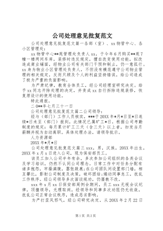 2024年公司处理意见批复范文