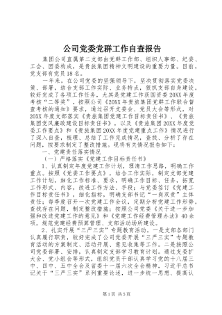 2024年公司党委党群工作自查报告