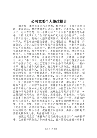 2024年公司党委个人整改报告