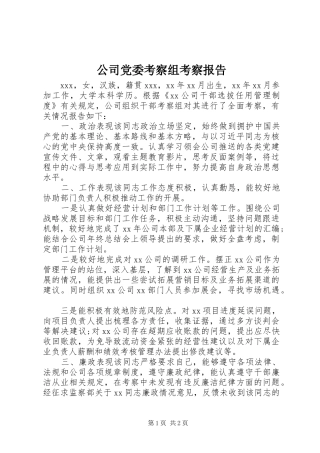 2024年公司党委考察组考察报告