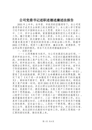 2024年公司党委书记述职述德述廉述法报告