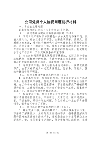 2024年公司党员个人检视问题剖析材料