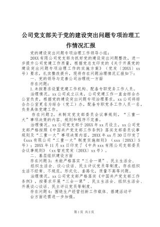 2024年公司党支部关于党的建设突出问题专项治理工作情况汇报
