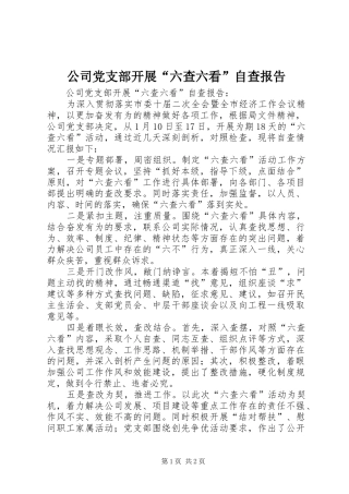 2024年公司党支部开展六查六看自查报告