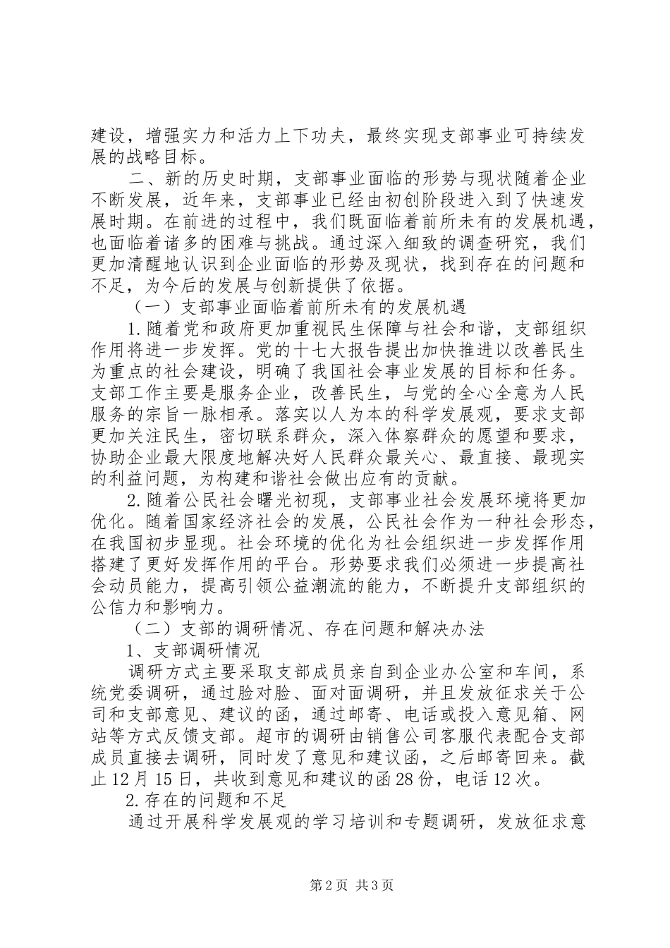 2024年公司党支部科学发展观调研报告_第2页