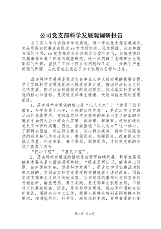 2024年公司党支部科学发展观调研报告