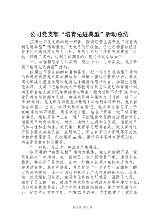 2024年公司党支部培育先进典型活动总结