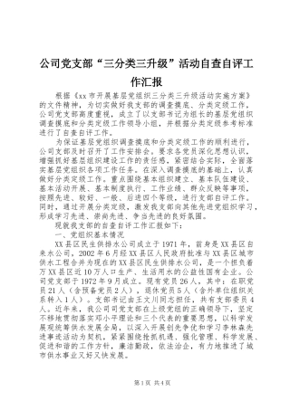 2024年公司党支部三分类三升级活动自查自评工作汇报