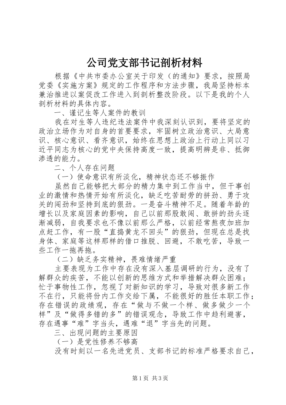 2024年公司党支部书记剖析材料_第1页