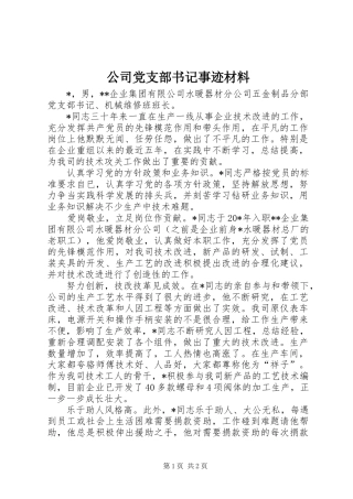 2024年公司党支部书记事迹材料