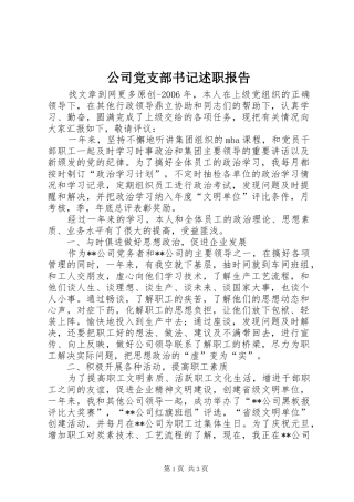 2024年公司党支部书记述职报告