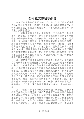 2024年公司党支部述职报告