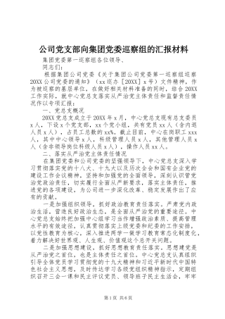 2024年公司党支部向集团党委巡察组的汇报材料