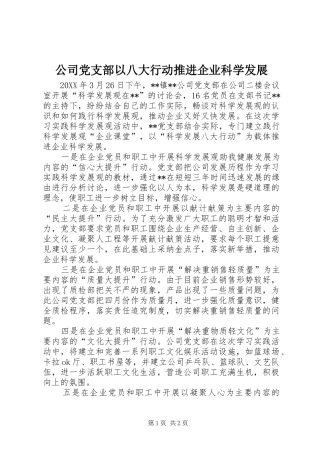 2024年公司党支部以八大行动推进企业科学发展