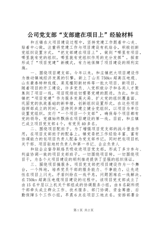 2024年公司党支部支部建在项目上经验材料