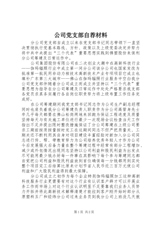 2024年公司党支部自荐材料