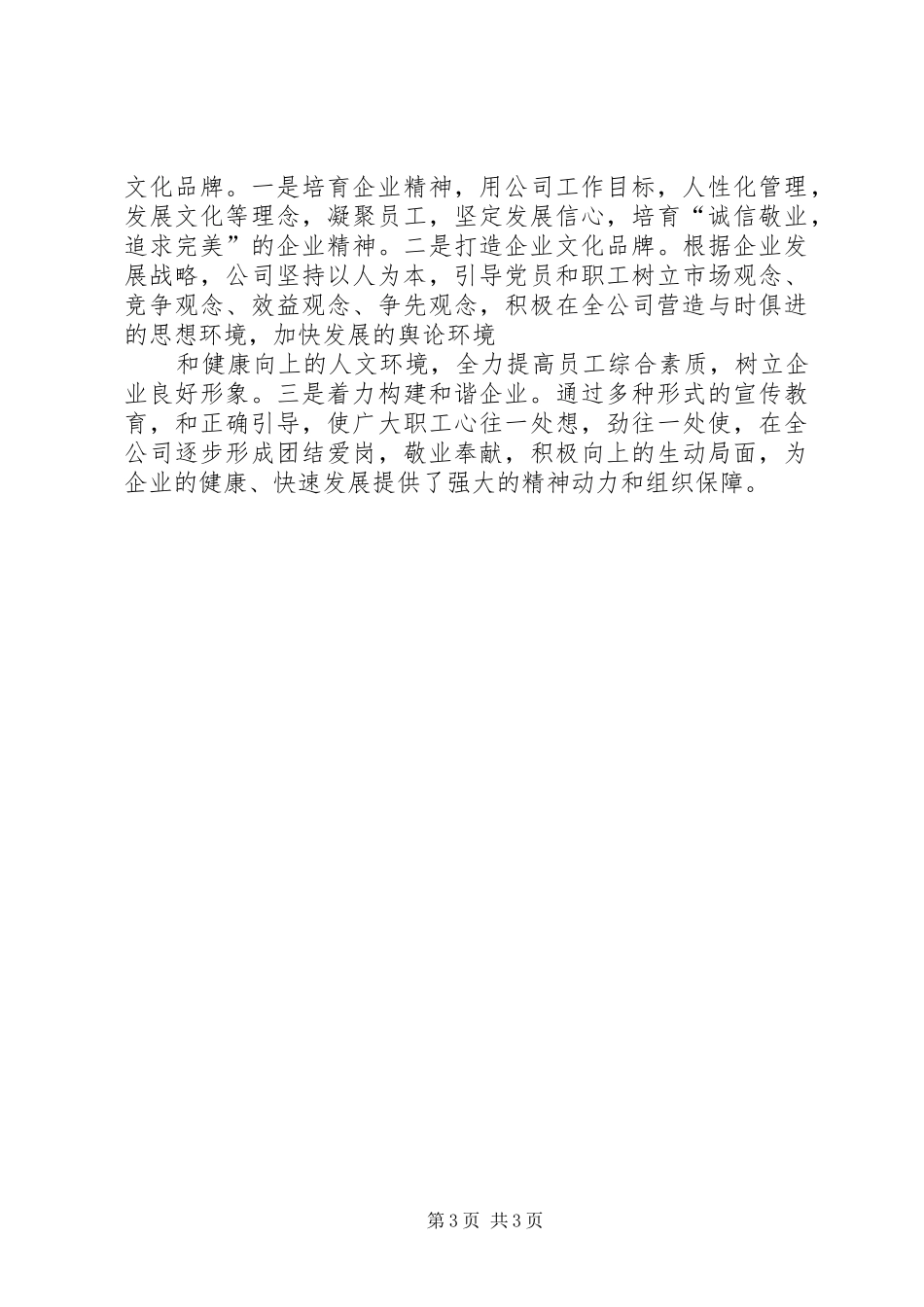 2024年公司党总支工作汇报_第3页