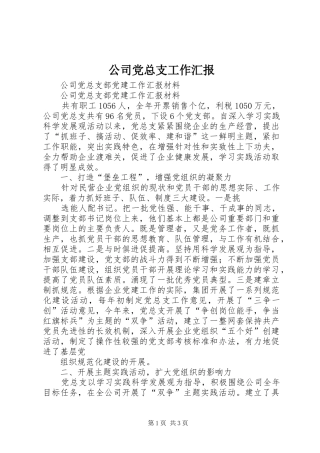 2024年公司党总支工作汇报