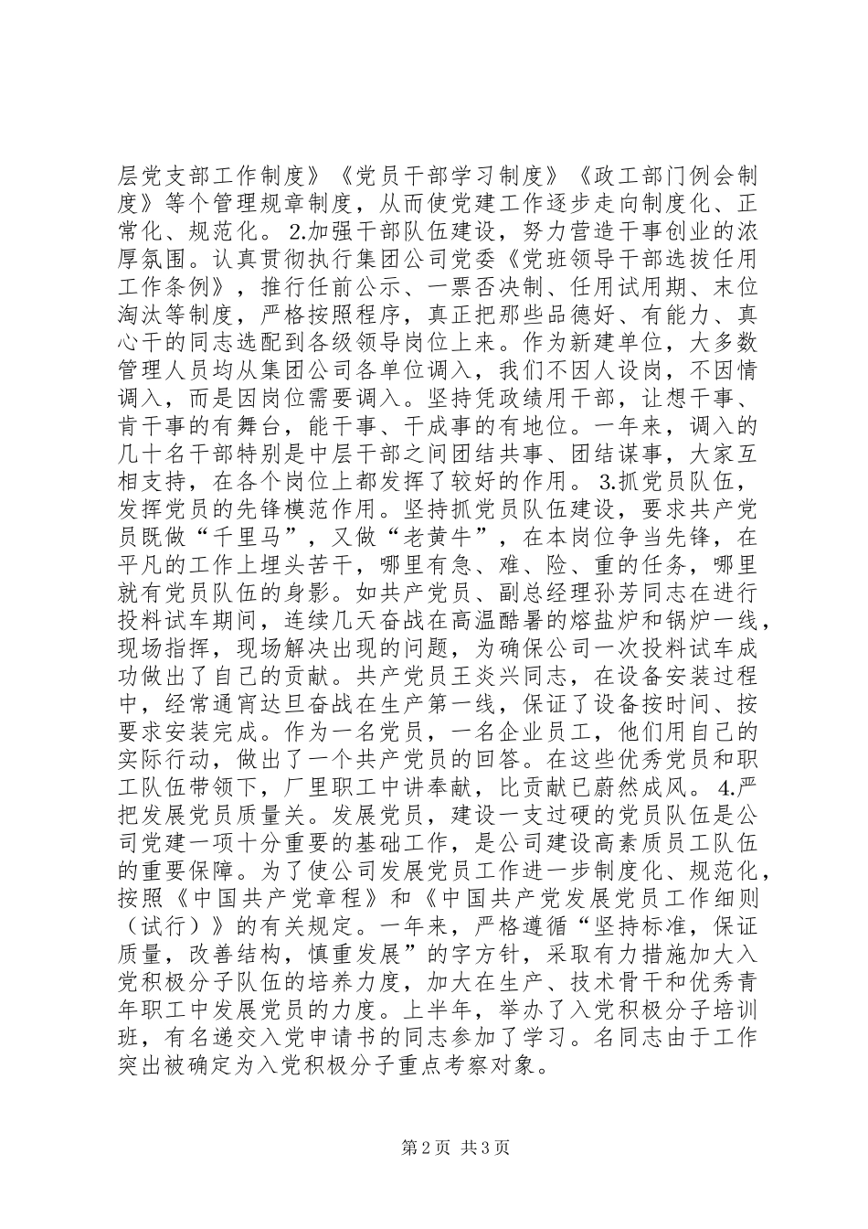 2024年公司党组织的申报材料_第2页