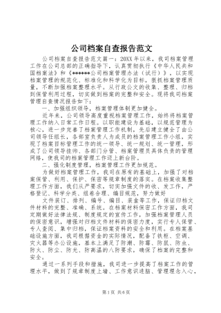 2024年公司档案自查报告范文