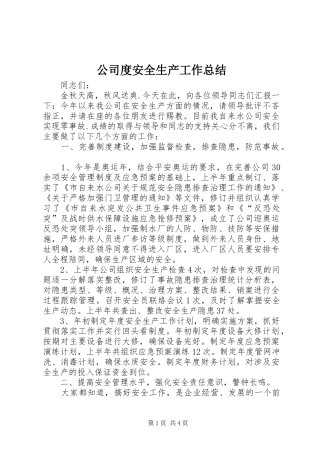 2024年公司度安全生产工作总结
