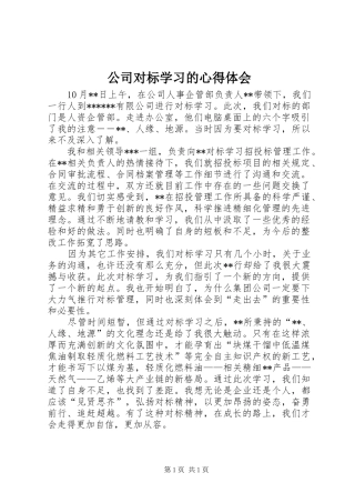 2024年公司对标学习的心得体会
